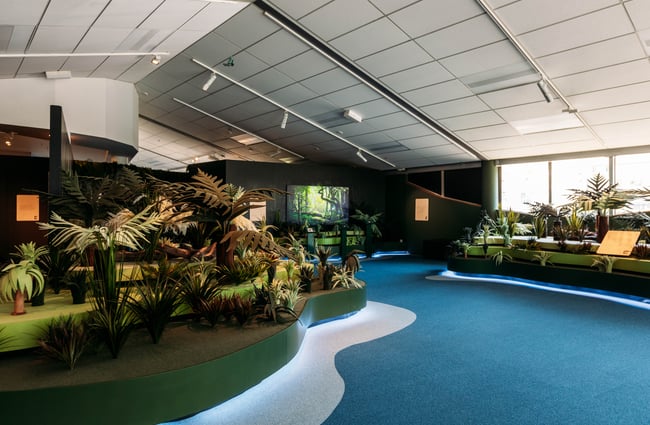 A blue floor inside Exscite Hamilton.
