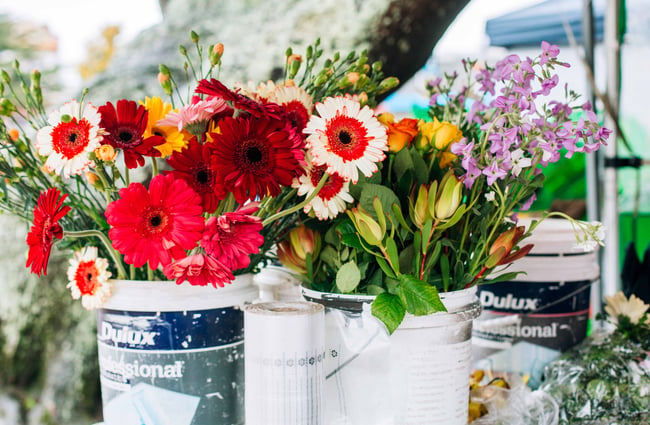 Flowers for sale.