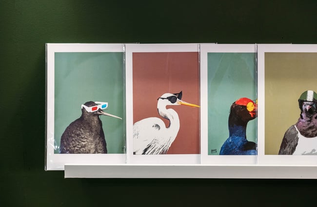 Close up of animal card illustrations