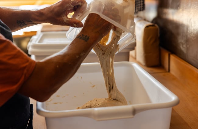 Bread dough being placed into a bowl.
