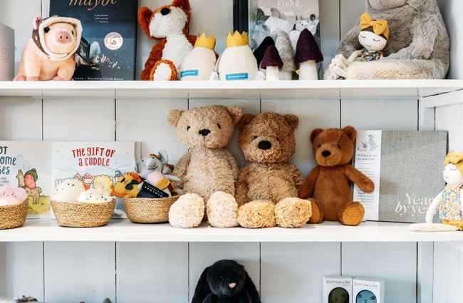 Soft toys and kids books on shelves.