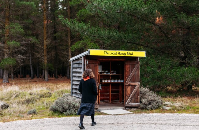 Customer walking up to the shed at Forage & Gold.
