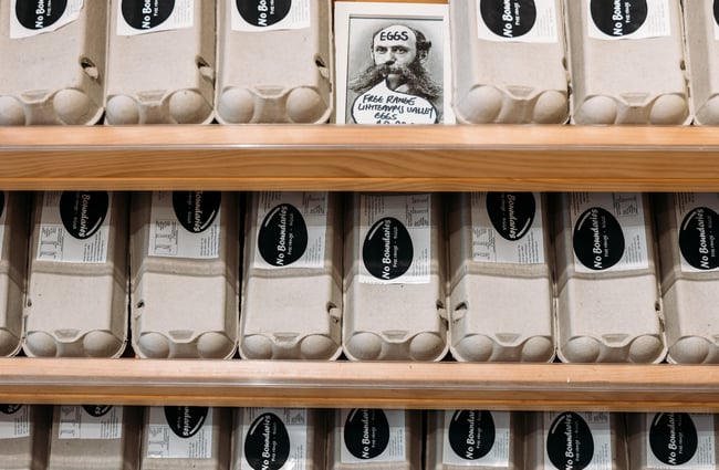 Close up of rows of fresh organic eggs