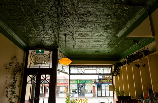 Branches on a green painted ceiling.