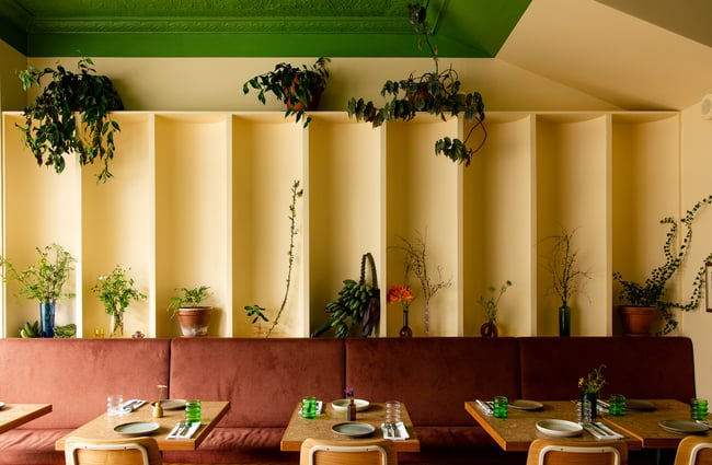 A calming seating area decorated with plants inside Forest.