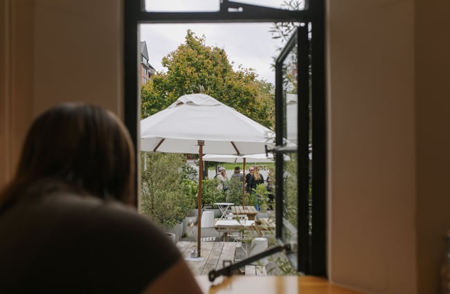 Customer looking out the window from inside Frances Nation Café.
