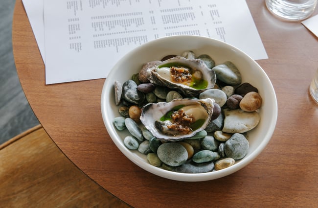 A close up of oysters on a table.