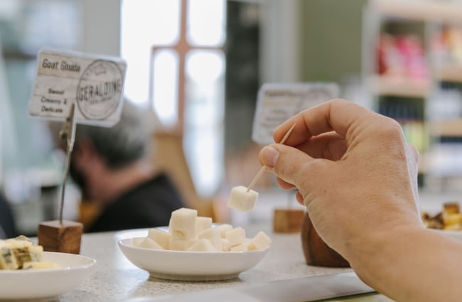 Cheese tasters at Geraldine Cheese Company.