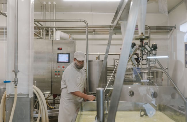 Man making cheese at Geraldine Cheese Company.