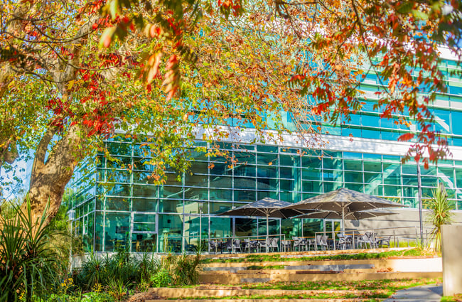 Exterior view of Gothenburg with outdoor tables under black umbrellas, and a large tree with autumn leaves.