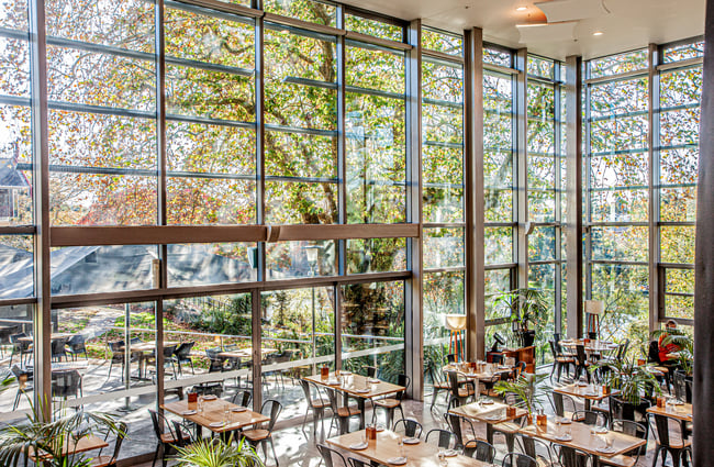 Interior image of Gothenburg's full-height wall of windows.