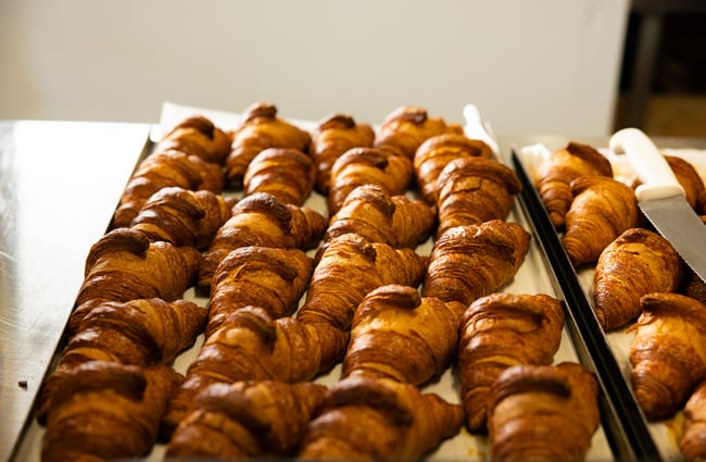 Tray of freshly baked croissants at Gourmet Gannet.
