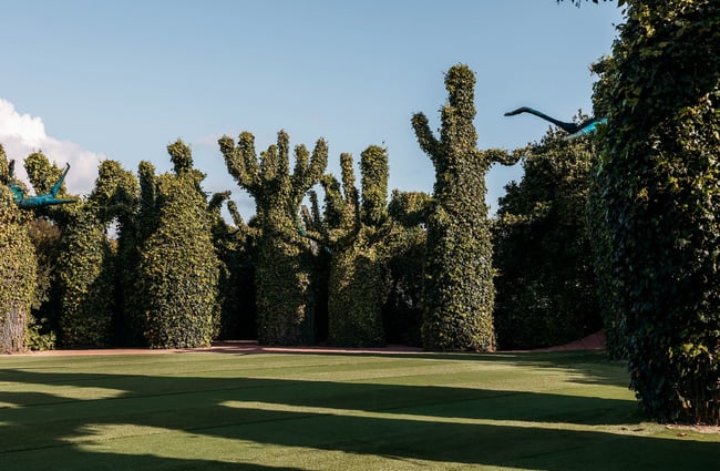 Tall, topiary-like shaped trees around a tidy lawn in the Surrealist Garden.