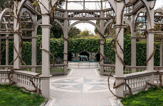 A pergola with brown vine branches snaking their way up the columns.