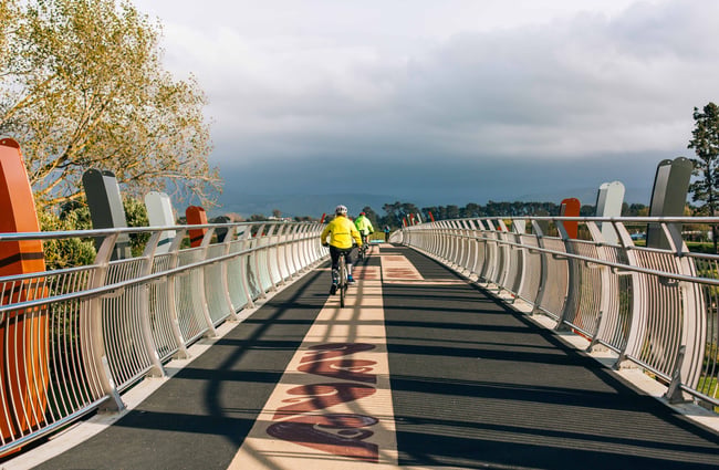 People biking over the He Ara Kotahi Bridge.