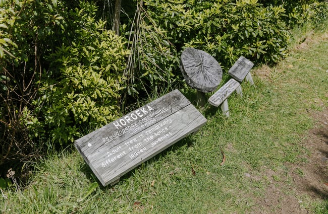 A wooden sign on the ground.