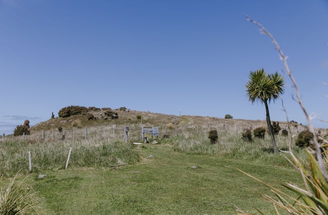 The Banks Peninsula on a sunny day.