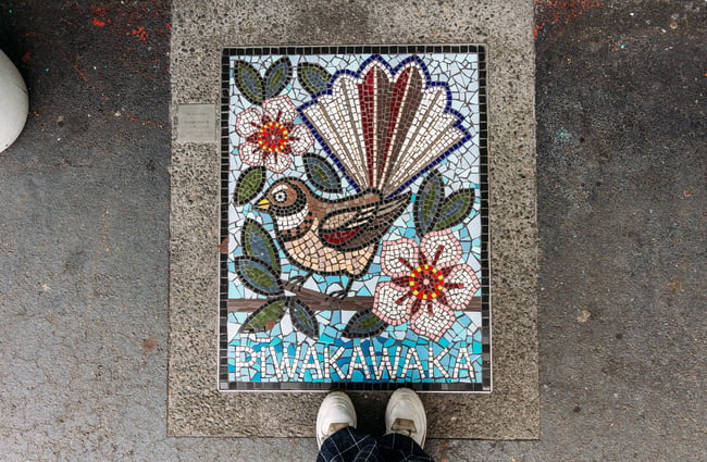 A pīwakawaka fantail mosaic in the concrete path.