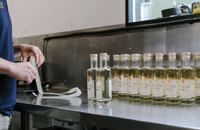 Bottles of gin lined up in a row waiting for stickers to be placed on them at Humdinger Gin Distillery in Geraldine.