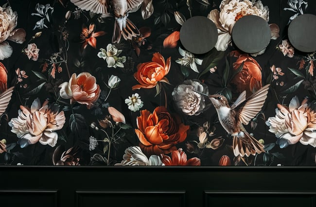 Hummingbird wallpaper at Hummingbird.