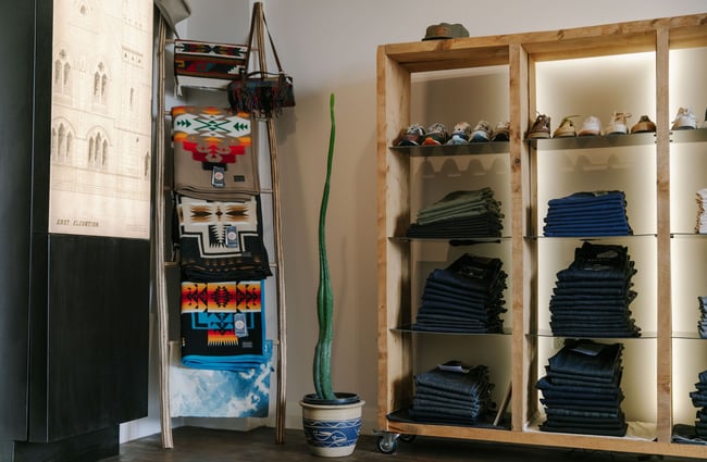 Jeans folded on shelves with cactus plant next to shelving unit at Indigo & Provisions, Christchurch.