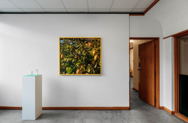Large exhibition on the gallery wall at Jhana Millers Gallery.