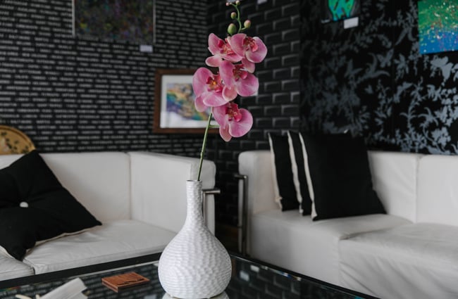 Orchid in a vase on a table.
