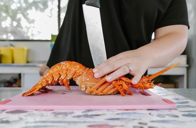 Close up of a crayfish at Kaikōura Seafood Bbq.