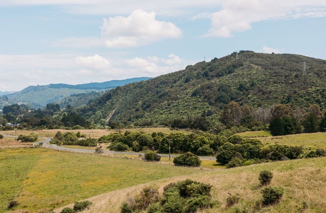Overlooking the undulating hills in Kaitoke Regional Park