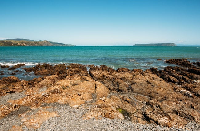 Looking out to the horizon from the stone beach at Karehana Bay.