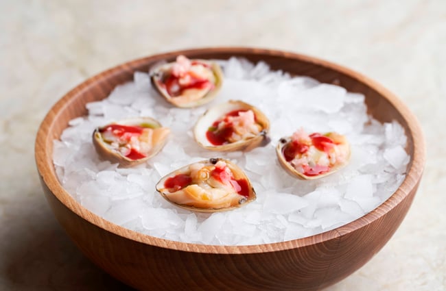 A close up of pretty little shellfish on a bowl of ice.