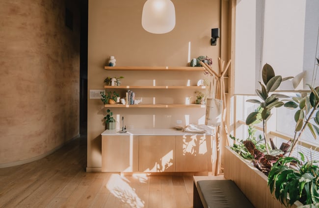 Drink station and plants at Kula Studio in Christchurch