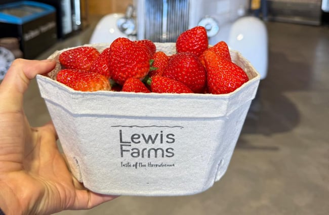 Customer holding a punnet of strawberries at Lewis Farms.