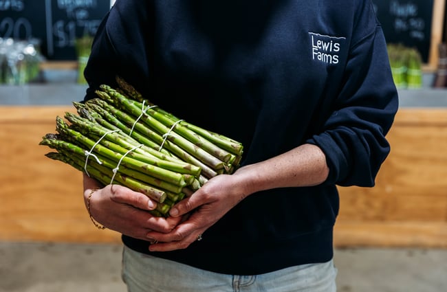 Staff member holding a bunch of asparagus at Lewis Farms.