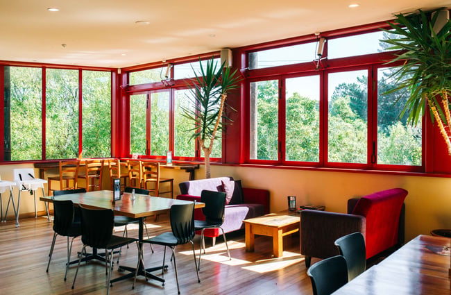 A sunny seating area inside Light House Porirua.