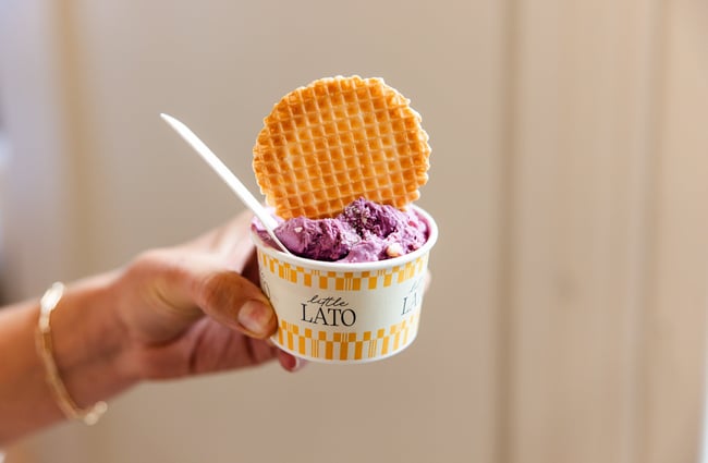 A close up of gelato in a cup.
