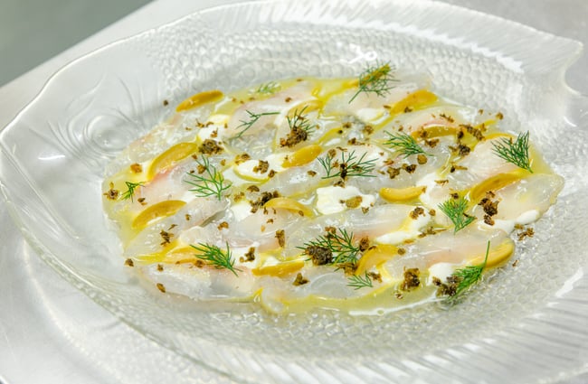 Raw fish dish at Local Talent Taverna.