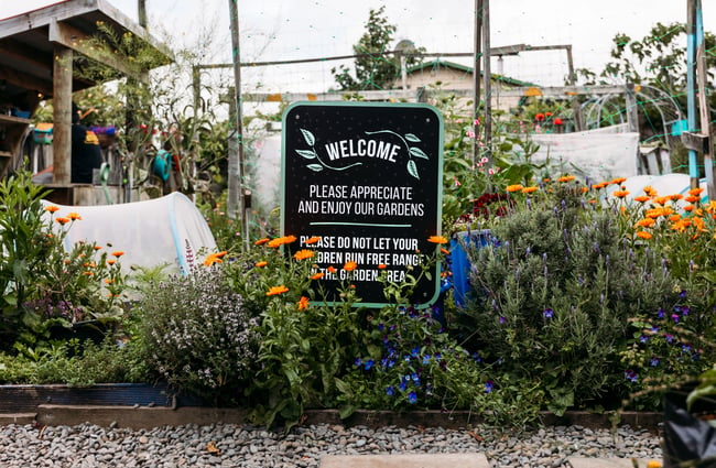 A vegetable garden on a cloudy day.