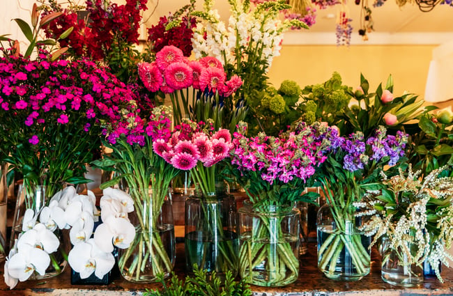 Close up of colourful flower arrangements in Love Stomp.