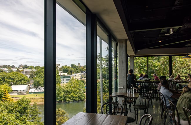 A view of the tops of trees photographed from inside a cafe.
