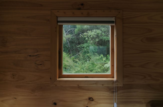 The view outside through a window.