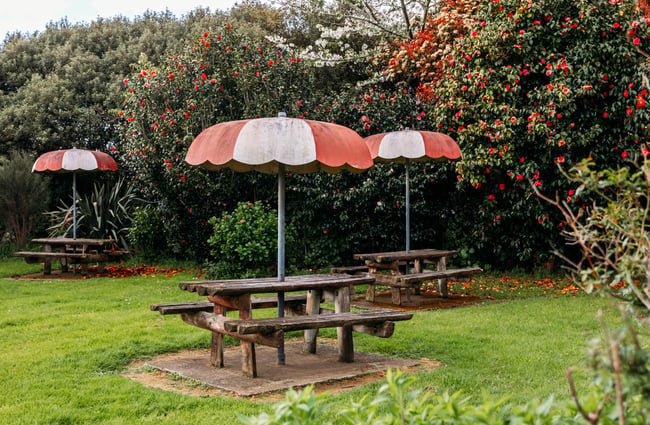 Red and white umbrellas set up on the outdoor picnic tables at Manakau Market.