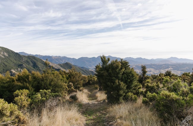 Path with Seaward Kaikōura Ranges in the background.