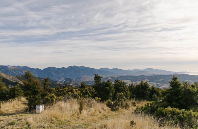 View of Seaward Kaikōura Ranges.