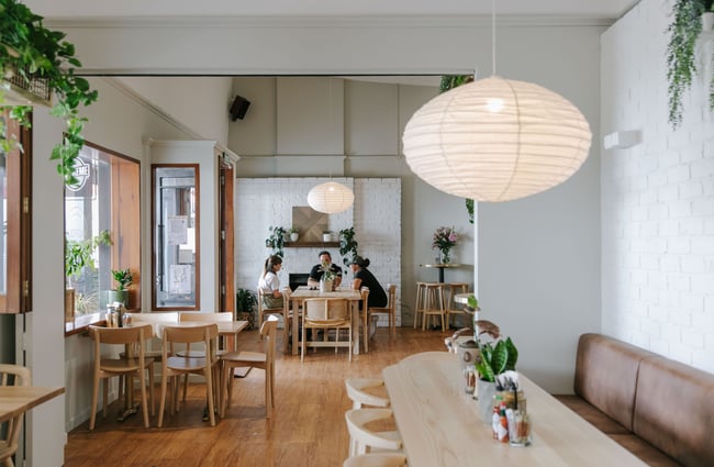 Customers sitting inside the cafe space surrounded by green walls at Mint Folk and Co in Twizel.