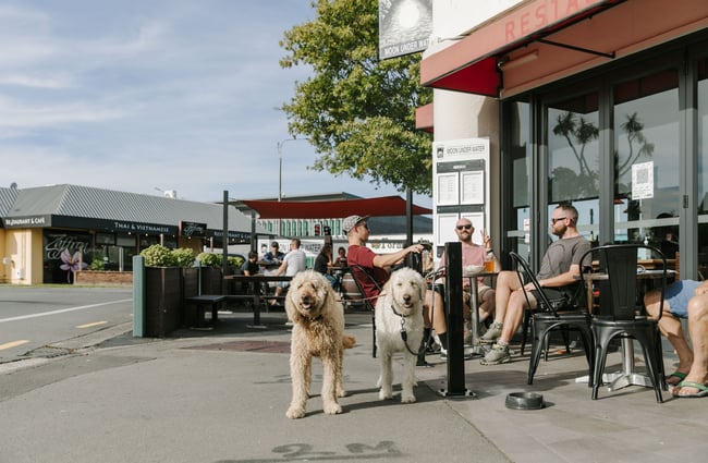 Two dogs standing outside Moon Under Water while their owners have a pint at an outside table.