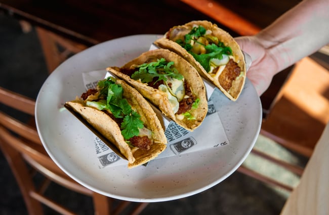 A hand holding a plate of tacos.