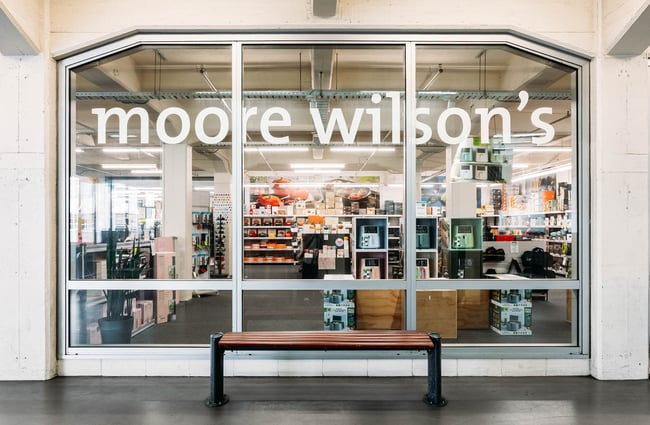 Looking through glass window into Moore Wilson's in Wellington