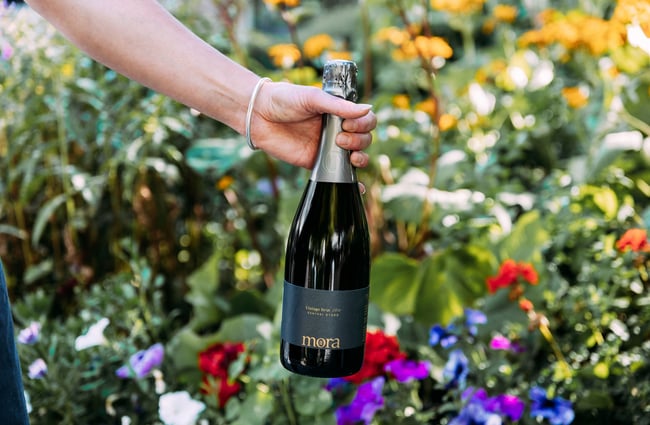 A hand holding a bottle of wine in front of a bush.