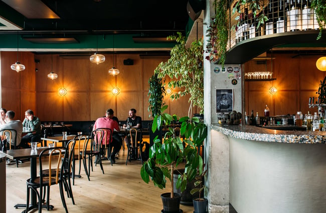 Looking past the curved concrete bar and pot plants to the interior dining area where customers are sitting at two tables.